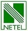 Netel India Company Logo